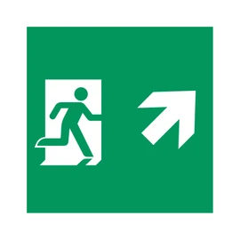 Фото #1 товара Пиктограмма EMGP-MARK-MA-RUP (Человек, Вверх-Вправо) (Arlight, Пластик)