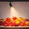 Минифото #2 товара Светильник LGD-GERA-4TR-R74-20W Warm SP3000-Fruit (Черный, 15 deg, 230V) (Arlight, IP20 Металл, 5 лет)