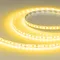 Минифото #1 товара Светодиодная лента RT-A120-8mm 12V Yellow (9.6 W/m, IP20, 2835, 5m) (Arlight, 9.6 Вт/м, IP20)