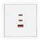 Минифото #3 товара ARL NOBE USB Розетка тип А+С+С софт-тач белый кварц SCT-MUACC-SFPL-FC-WH (65W, QC3) (Arlight, -)