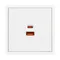 Минифото #3 товара ARL NOBE USB Розетка тип A+C софт-тач белый кварц SCT-MUAC-SFPL-FC-WH (65W, QC3) (Arlight, -)