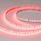 Минифото #2 товара Светодиодная лента RT-A168-10mm 24V RGBW-Day (20 W/m, IP20, 5m) (Arlight, высок.эфф.150 лм/Вт)