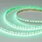 Минифото #4 товара Светодиодная лента RT-A168-10mm 24V RGBW-Day (20 W/m, IP20, 5m) (Arlight, высок.эфф.150 лм/Вт)