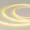 Минифото #1 товара Светодиодная лента RT-A120-5mm 24V Yellow (9.6 W/m, IP20, 2835, 5m) (Arlight, узкая)